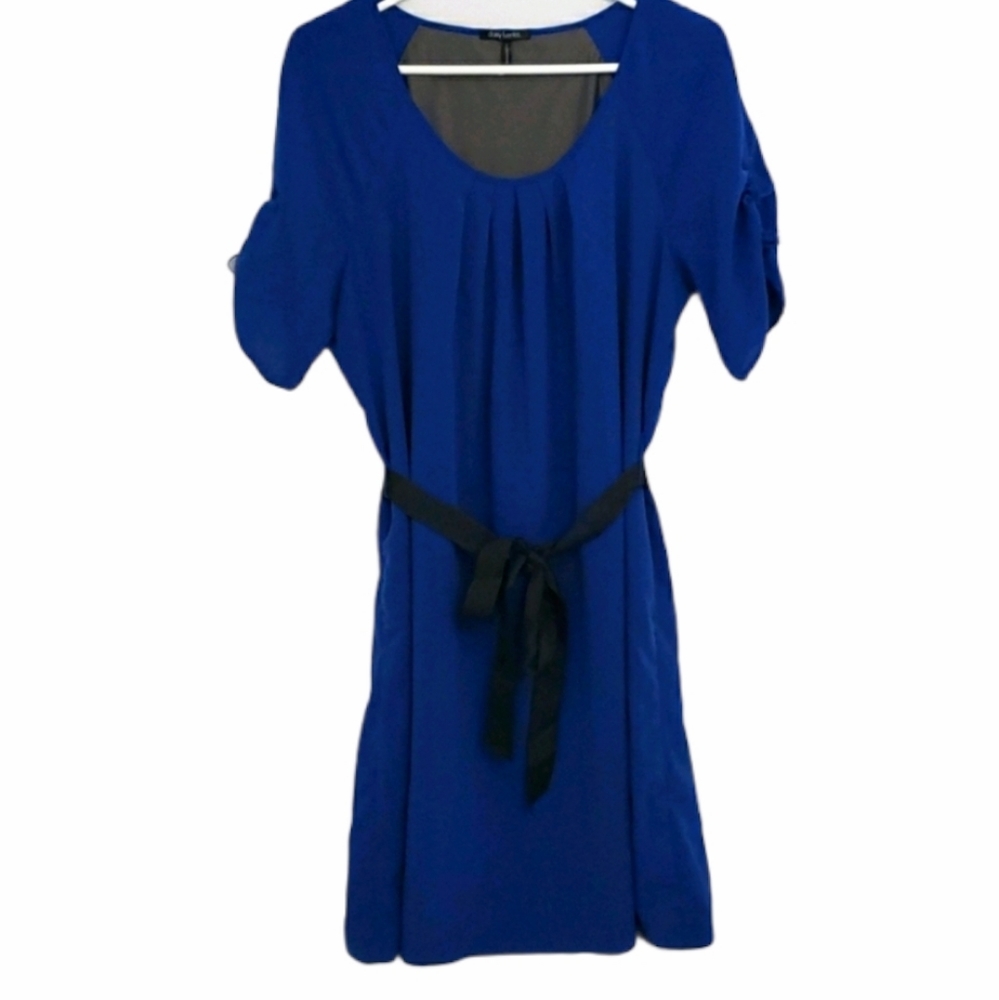 Daisy Fuentes Blue Dress